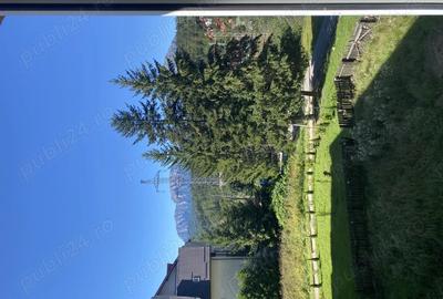 Apartament de vacanta Predeal - 6