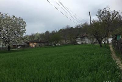 Casă cu 4 camere cu Teren 2300 Mp în Băneasa - 7