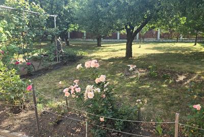 Casă cu 5 camere cu Teren 1159 Mp în Zăvoi - 2