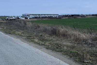 Spațiu comercial, în Saca - 4