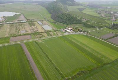 Teren extravilan de 22500mp Zona Ineu - 5