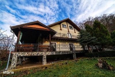 Spațiu comercial, de 350 mp, în Daneș - 5