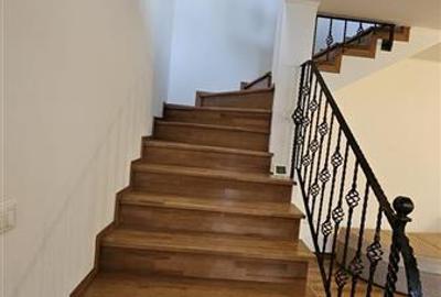 Casă individuală cu 3 camere cu Canalizare în Roșu - 22