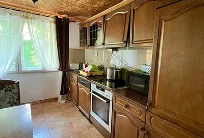 Direct proprietar vand casu?a superba la tara - 5