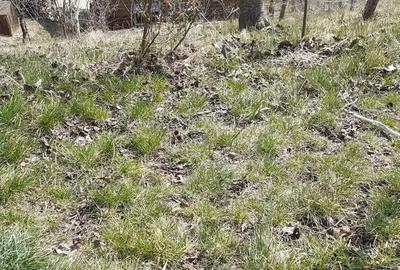 Casa si teren 1200mp langa Manastirea Bistrita, Alexandru cel Bun, Neamt - 7