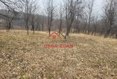 Casă cu Teren 1358 Mp în Gura Beliei - 13