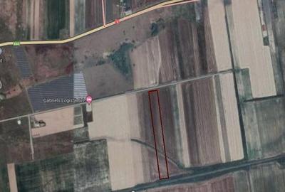 RECO Teren intravilan de vanzare Osorhei RECO Teren intravilan de vanzare Osorhei - 3