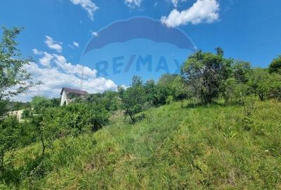 Teren Construcții intravilan de 11622 mp, în Central - 10