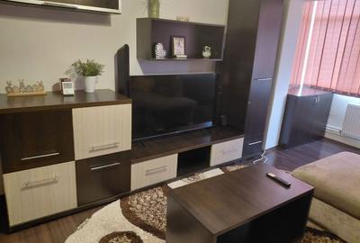 Apartament cu 2 camere semidecomandat în Gura Văii - 4