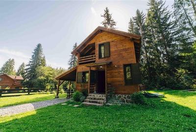 Casa de vacanta (Borzont, jud. Harghita) - 1