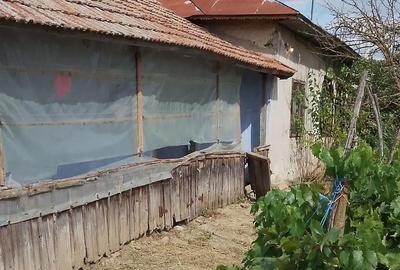 Casă cu 4 camere cu Teren 4200 Mp în Izvoru (Gogoșari) - 10