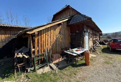 Casă cu 3 camere decomandat cu Teren 5000 Mp în Șișești - 13