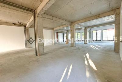 SPATIU COMERCIAL TUNARI-PIPERA-300MPU-PARCARE INCLUSA - 2