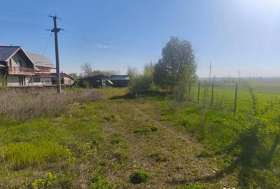 Teren de 2500 mp, în Rădăuți - 3