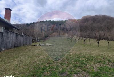 Spațiu comercial, în Valea Neagră - 3