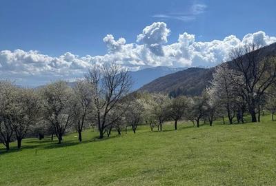 Teren de 3001 mp, în Bran - 1