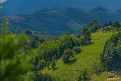 Oaza de liniste si frumusete, reconectare cu natura,16.000 mp+constructie, Poian
