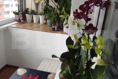 Apartament cu 2 camere decomandat, mobilat în Noua - 5