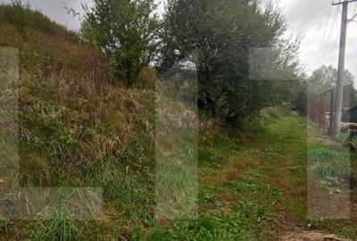 Teren de 920 mp, în Ciurila