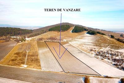 Teren in Sanpetru zona Lempes, retras cu panorama deosebita - 2
