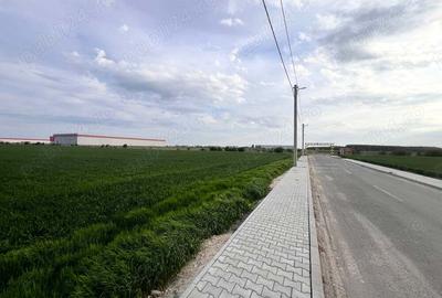 Teren în Dragomirești-Vale - 4