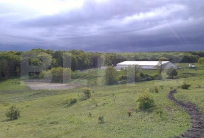 Hale si teren ,curte betonata , destinatii multiple - 3