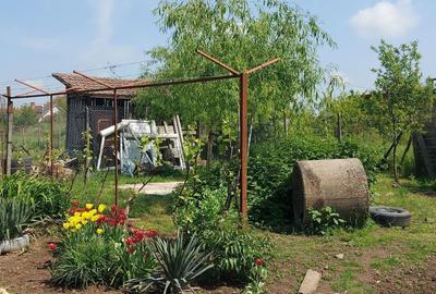 Casă cu 6 camere în Curtici - 8