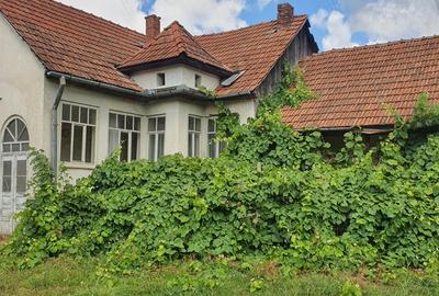 Vand casa la tara - 5