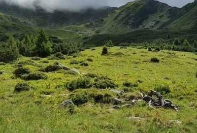 Teren de 1100000 mp, în Nucșoara - 3