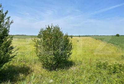 Teren extravilan, 4.994 mp, Targoviste - 5