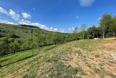 Casă cu Teren 15000 Mp în Bătrâna - 7