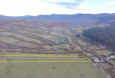 Teren agricol extravilan de 5800 mp, în Purcăreni - 3