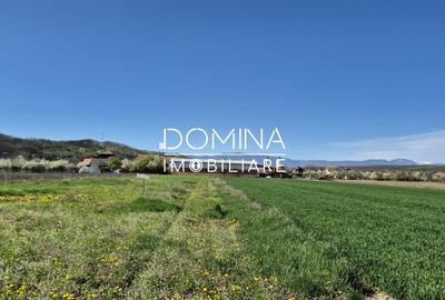 Teren Construcții intravilan de 520 mp, în Bălești - 4