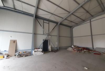 Hala noua 293mp - zona Drumul Intre Tarlale - Sos. Garii Catelu - 2