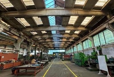 Vaslui aproape de Iasi, hale si birouri de vanzare - 6