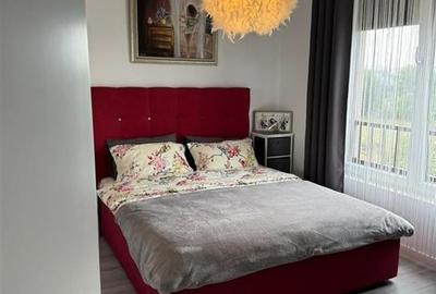 Decomandat 2 camere mobilat si utilat Dumbravita langa Decathlon - 3