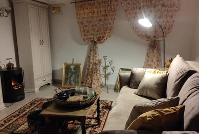 Centru - apartament cu 2 camere mobilat și utilat, demisol Centru - apartament cu 2 camere mobilat și utilat, demisol - 4