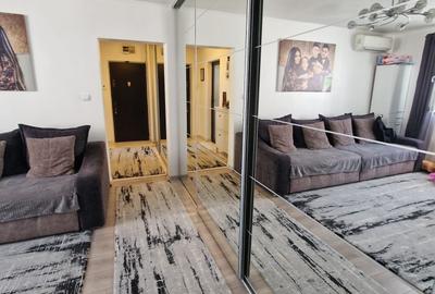 Campia Libertatii , Baba Novac , Parc IOR, renovat, mobilat complet - 6