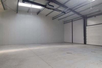 Spatiu de depozitare si productie Mogosoaia - 14