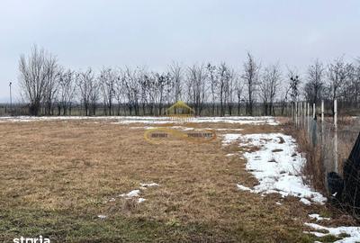 Teren de 900 mp, în Săucești - 3