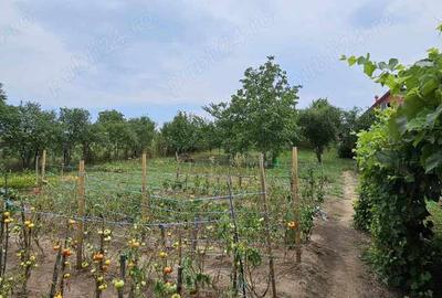 Vand casa in satul Seuca comuna Gane?ti - 3