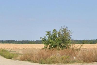 Teren intravilan Snagov pozitionat vizavi de centrul hipic Arcadia! - 8