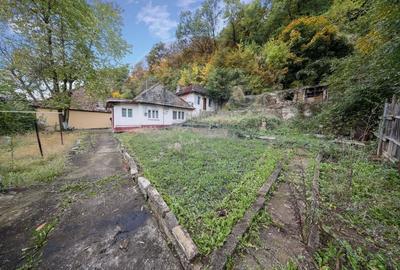 Casa pentru investitie in centru/Teren 130m - 6