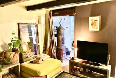 FILM! In Bohemian Style, loc parcare, curte proprie,vedere panoramica, Cartiieru - 25