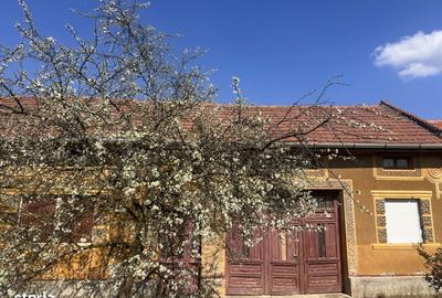 Casă cu 4 camere în Lugojel