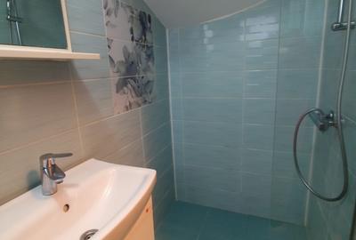 Duplex cu 2 camere cu Canalizare în Prelungirea Ghencea - 13
