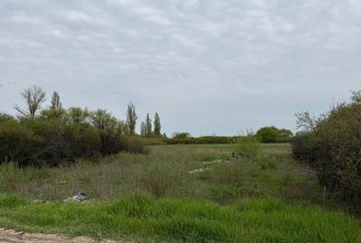 Teren de 600 mp, în Sânmihaiu Român - 5