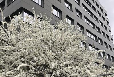 Birouri intersectie Timpuri Noi, suprafata de  la 250mp la 3400mp Birouri intersectie Timpuri Noi, suprafata de  la 250mp la 3400mp - 1