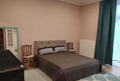 Case alaturate cu gradina, parcare ?i poten?ial comercial in Elisabetin - 9