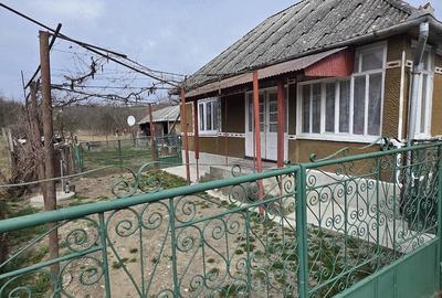 Casă cu 3 camere cu Teren 13 Mp în Reteag - 1